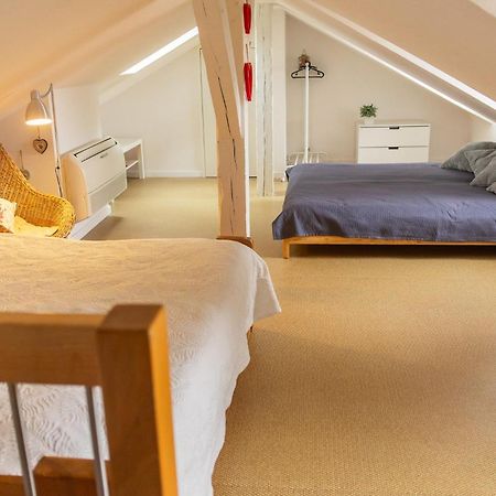 City Center Duplex Loft Colmar Exterior foto
