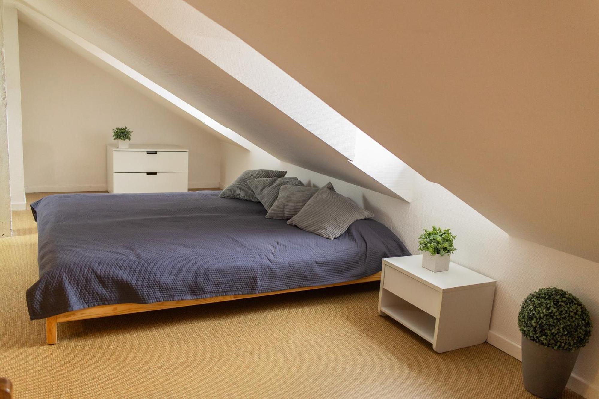 City Center Duplex Loft Colmar Exterior foto